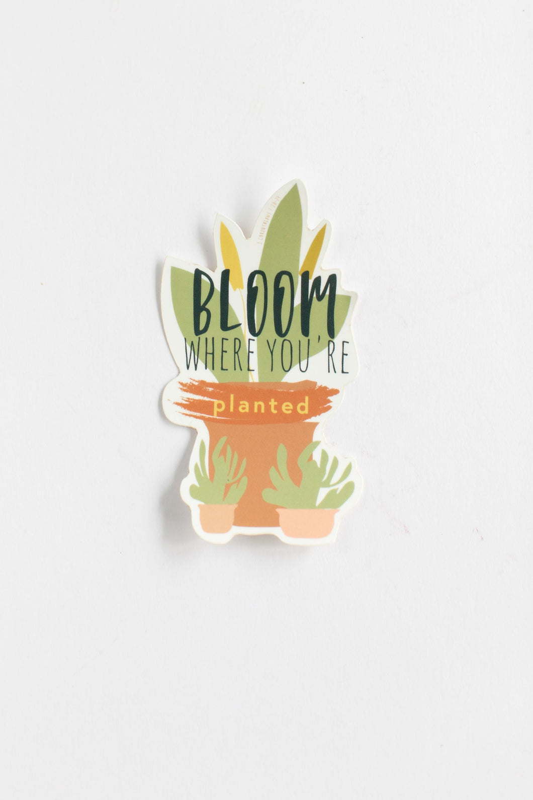 Bloom Where You're Planted Stickers